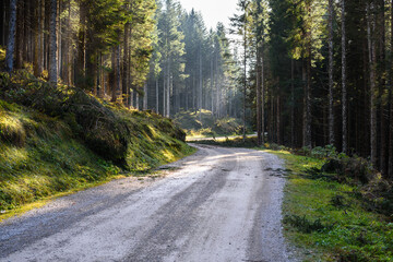 Deserted winding gravel forest road in the mountains on a sunny autumn day