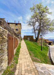 Fototapeta na wymiar Stone path next to old houses and large pear tree with spring flowers. La Hiruela Madrid.