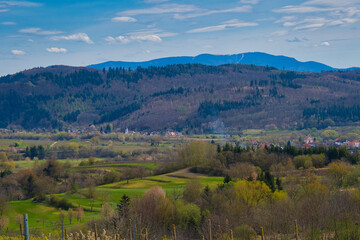 Obraz premium Weitblicke oberhalb von Ettenheim in den Schwarzwald