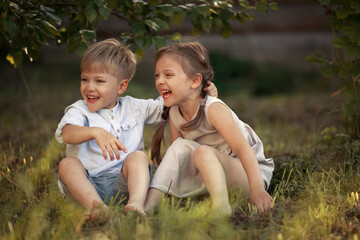 Funny twins boy and girl in country - 427034367