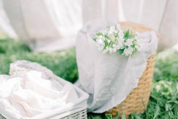 Wicker rattan basket with laundry after washing. Spring greenery and spending time outside. A...