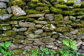 Ancient wall made of stone with moss and wild flowers. Madrid.