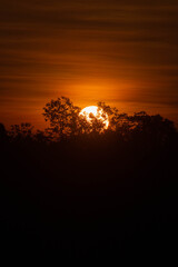 The early morning sun is shining beautifully.