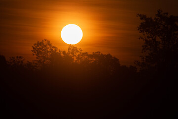 The early morning sun is shining beautifully.