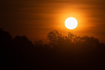 The early morning sun is shining beautifully.