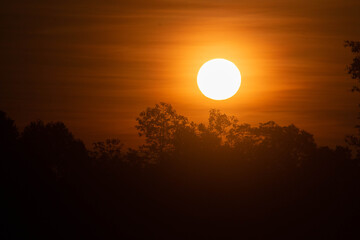 The early morning sun is shining beautifully.