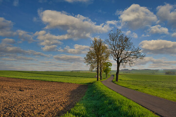 Landschaft mit kurviger Landstra&szlig;e im Fr&uuml;hling