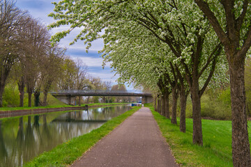 Obraz premium Canal Rhone au Rhin nahe Gerstheim im Elsass