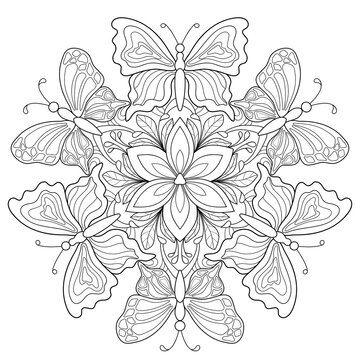 Butterflies with simple patterns, flower and doodle leaves. Decorative summer mandala on a white isolated background. For coloring book pages.