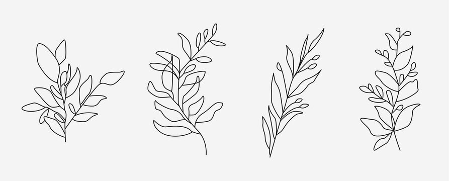 Set of flower icons on white background, isolated. Collection of floral signs for luxury minimalistic boho design. No fill and thin outlines plant symbols, garden and greenery with stem. Flower vector