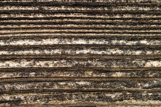 Wood texture. Dark plank table with empty space