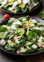 Fresh cucumber radish apple salad with spinach, dill and yogurt dressing. Healthy food