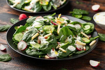 Fresh cucumber radish apple salad with spinach, dill and yogurt dressing. Healthy food