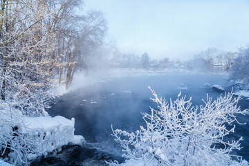 Closeup view of bush covered with hoarfrost on winter morning