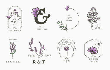 Beauty lavender collection.Vector illustration for icon,sticker,printable and tattoo - obrazy, fototapety, plakaty