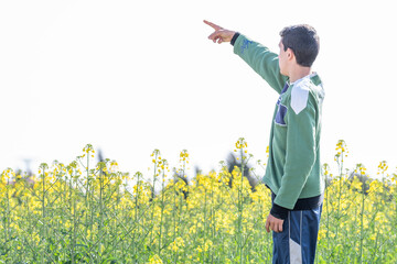 young boy in the middle of an oilseed rape field pointing with his finger