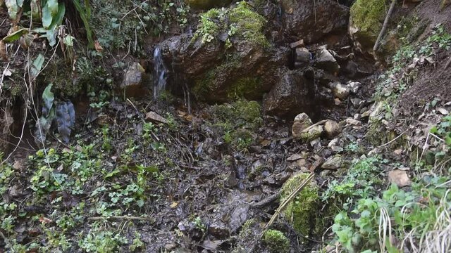 Mountain brooklet trickles on the rocks towards the river