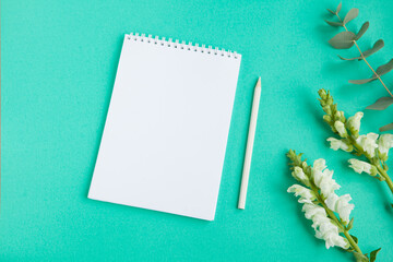 Top view of blank sheet of notebook and white pencil and white flowers on green table. Copy space.