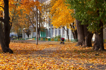 A Moscow school and the colours of autumn