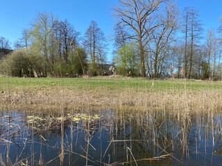 Small ponds and lowland wetland pastures in the valley along Lake Mauensee or Lake Mauen (Mauesee)...