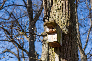 A bird house near a tree with a round entrance..