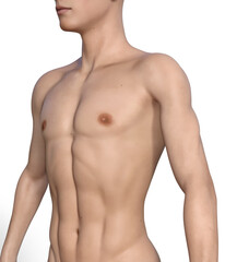 Fototapeta premium The Boy's Muscle - 3D