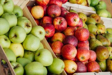 Des pommes à vendre sur un marché. un étal de pommes. Des pommes vertes et rouges. Des pommes dans des cagettes.