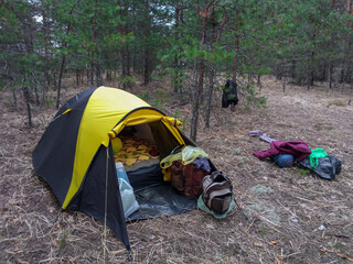 Outdoor camping tent in the forest, life. © Andrey