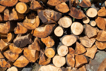 Detail of cut fire woods suitable as a background