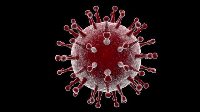 3D loop animation with alpha channel. The red glowing virus is spinning. 3d animation for banners, advertisements and compositions of medical and bacteriological subjects.