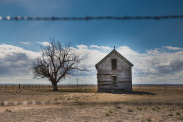 Old Farm House and Tree