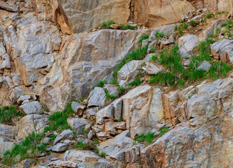 633-72 Grasses and Cliff Wall