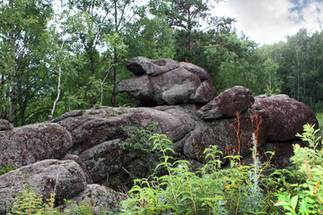 Fototapeta premium a rock in the wild