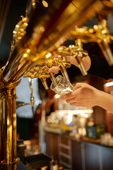 Bartender pours fresh beer into a glass