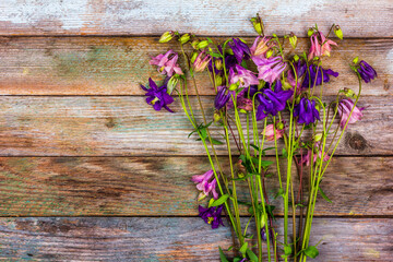 bouquet of pink and blue aquilegia flowers on a retro wooden background with a copy space top view