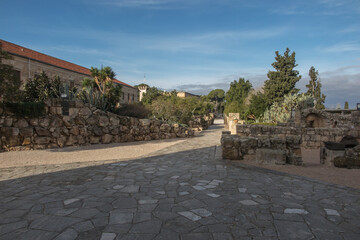 Fragment of the Franciscan Garden on Mount Tabor