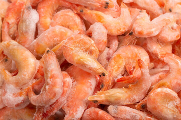 Fresh shrimps in ice. Top view.