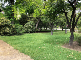 Beautiful park with trees and lawn, cozy nature urban space with green grass for relaxation