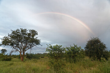 Südafrika - Letaba Ranch Reservat - Jeep Safari