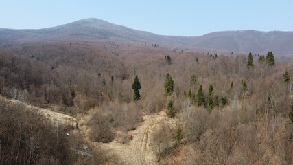 Drone shot. View of the village at the foot of the mountains. Carpathians. Ukraine.