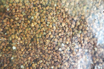 close up small bag with holes with raw buckwheat top view . cooking at home