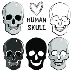 Vector illustration of variants of the human skull. Mexican symbol of the holiday of Santa Muerte. Drawing for a T-shirt or for a tattoo.