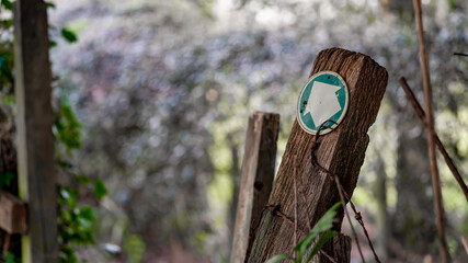 Old worn footpath sign in the middle of a wood