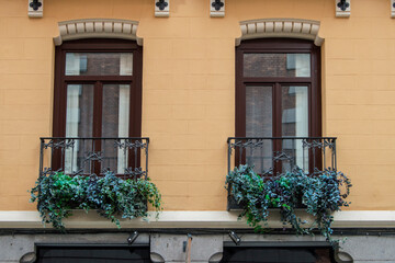 Fototapeta na wymiar balconies with green levae plantas in facade of a building in Madrid. Spain