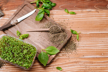 Green raw basil and dry basil spices on wooden background
