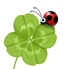 coccinella sul quadrifoglio