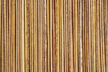 Thin bamboo sticks. Close-up. Selective focus. Vertical view. Background. Texture.