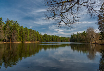 Fototapeta na wymiar South Bohemia ponds in spring sunny fresh color day