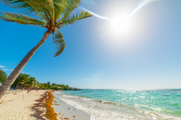 Sun shining over Raisins Clairs beach in Guadeloupe