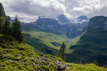 Fototapeta premium Beautiful swiss alpine landscape in summer.